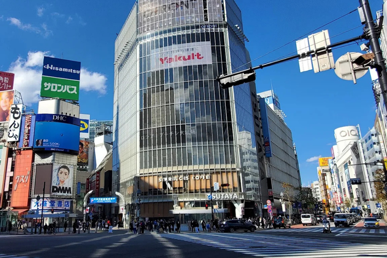 Tokyo : Visite guidée de la ville ancienne et de la ville moderneTokyo : visite guidée d'une demi-journée de la ville