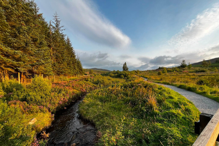 From Pitlochry: Schiehallion Guided Mountain Hike
