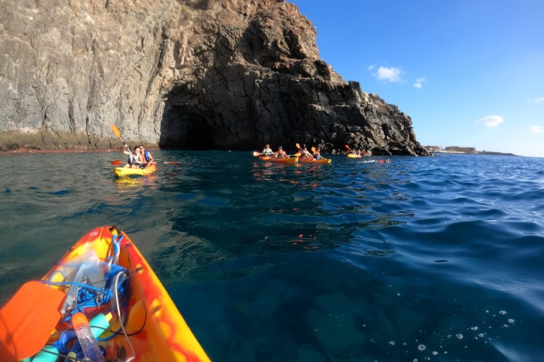 Tenerife : Kayak avec masque et tuba, découvrez les tortues et les poissons.Tenerife : Kayak et plongée en apnée avec tortugas et delfines