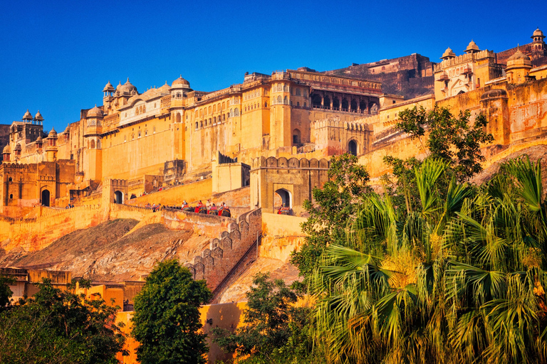 From Delhi: Golden Triangle with Ranthambore 5-Day Tour This Option with 3 Star Hotel