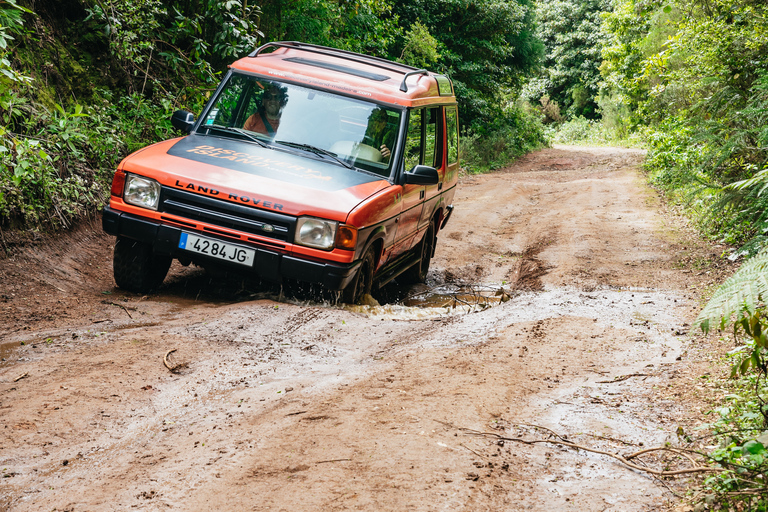 Madeira: Half-Day Pico Arieiro Jeep Tour