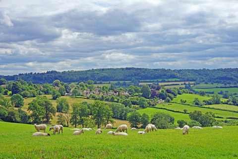 From London: Small Group Stonehenge, Bath &amp; Cotswolds TourSmall Group Tour Departing from the London Eye