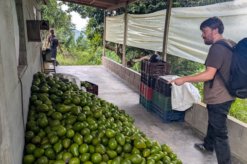 Santa Marta: 2-dagars vandring till Bunkuany-ruinerna