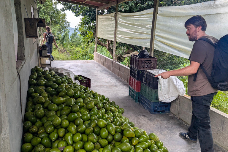 Santa Marta: 2-dagars vandring till Bunkuany-ruinerna