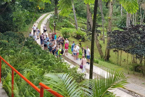 Puerto Plata: City Tour with Lunch and Rum Tasting