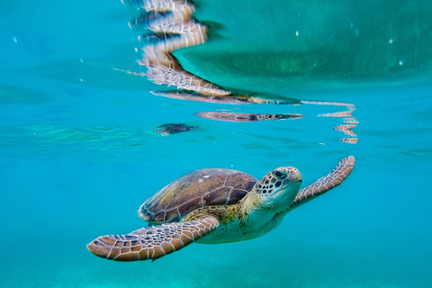 Galle Day Trip with a transfer to your next destination from Bentota/Beruwala/Ahungalla to Yala/Tissa/Hambantota