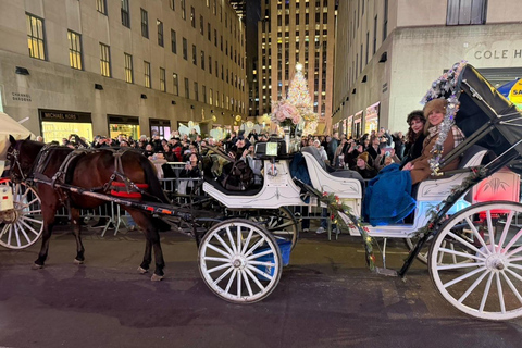 NYC: Central Park Christmas Lights Horse-Drawn Carriage Ride