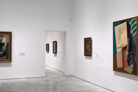 Madrid: Reina Sofía Museum Ticket with In-App Audio Guide