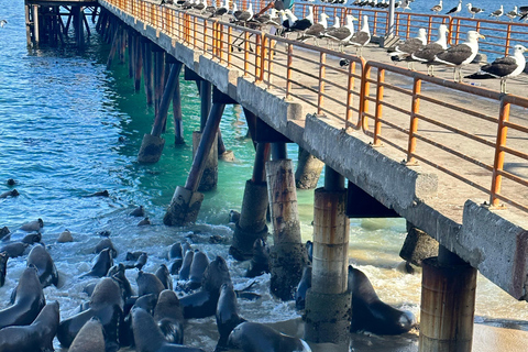 Vineyard, Valparaiso, Horseback Riding, Sea L &amp; BBQ Day Trip