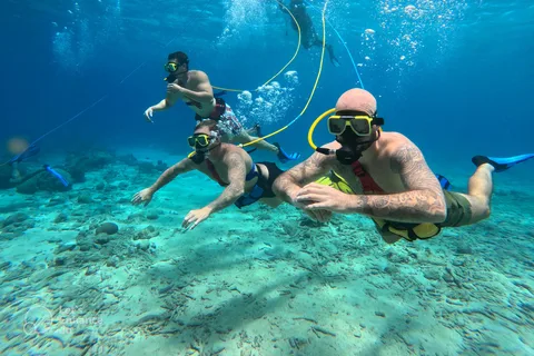 Curacao Willemstad SNUBA® Diving Guided Underwater Snorkling