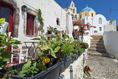 Santorini: Private Mesaria & Vothonas Village Walk and Lunch