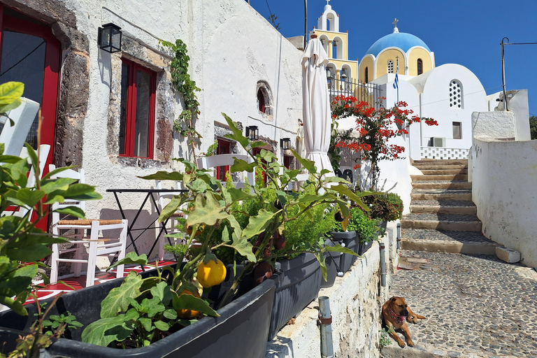 Santorini: Private Mesaria & Vothonas Village Walk and Lunch