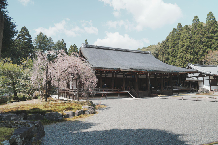 Kyoto Customisable Private Tour with a Local Guide
