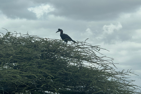 Äthiopien: 10-tägige Omo-Tal-Tour ab Addis Abeba
