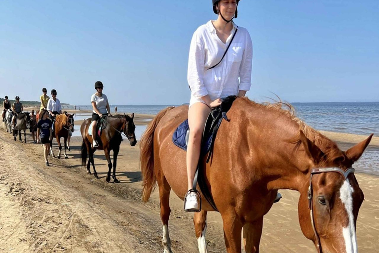 Hurghada : Deux heures d'équitation au soleil et à la mer avec transferts