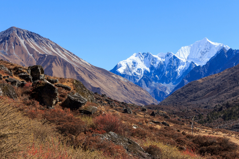 Trekking classique de 6 jours dans la vallée du Langtang, avec guide, au départ de KatmandouTrek classique de 6 jours dans la vallée du Langtang au départ de Katmandou