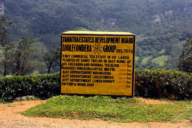 Kandy: Sir James Taylor’s Loolkandura Tea Heritage Hike