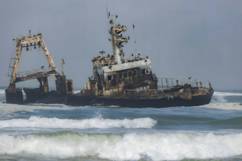 Cape Cross, Seals and River Desert Nature Tour [New Route]