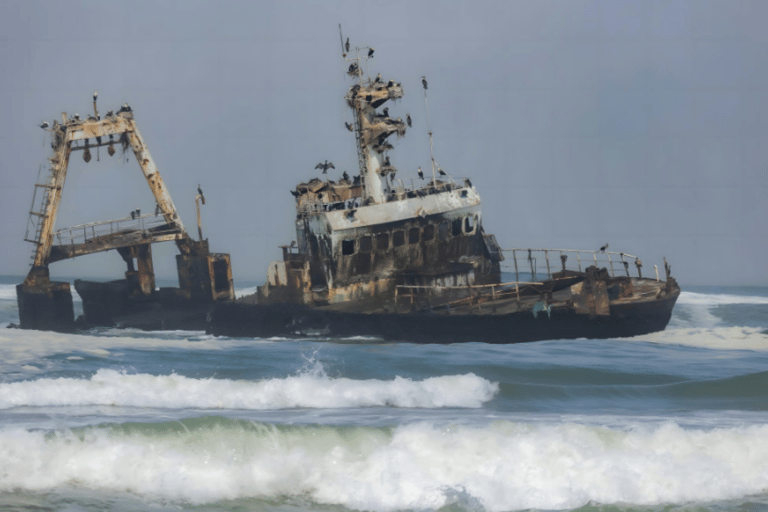 Cape Cross, Seals and River Desert Nature Tour [New Route]