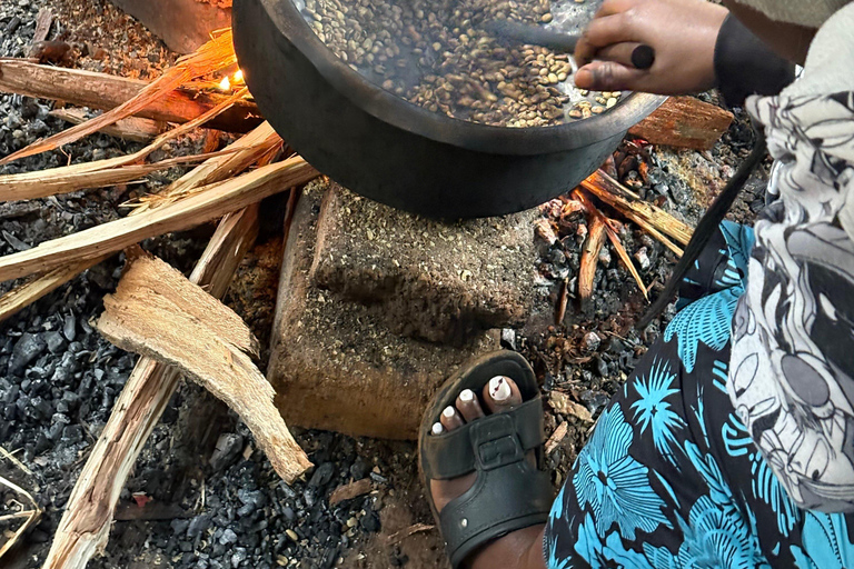 1 Day Private Cultural tour to Materuni Waterfalls & Chemka