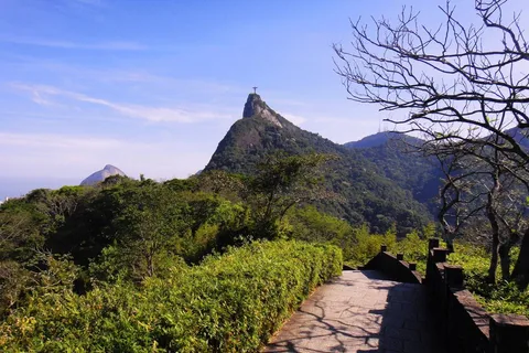 Christ & Tijuca Forest Private Tour - by Alan Denis