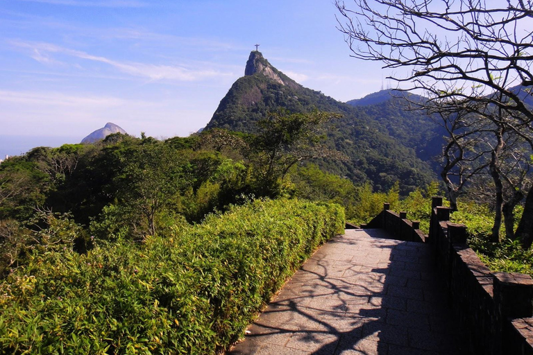 Rio de Janeiro: Private Tour Tijuca Forest &amp; Santa Teresa