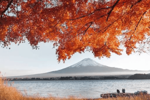 From Tokyo: Mount Fuji Full Day Customizable Private Tour
