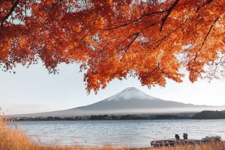 From Tokyo: Mount Fuji Full Day Customizable Private Tour