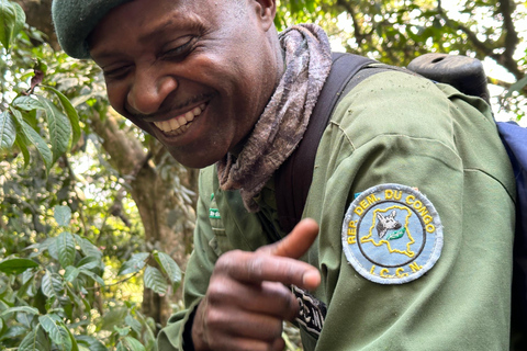 3 jours au Congo (RDC) pour suivre les gorilles de plaine depuis le Rwanda