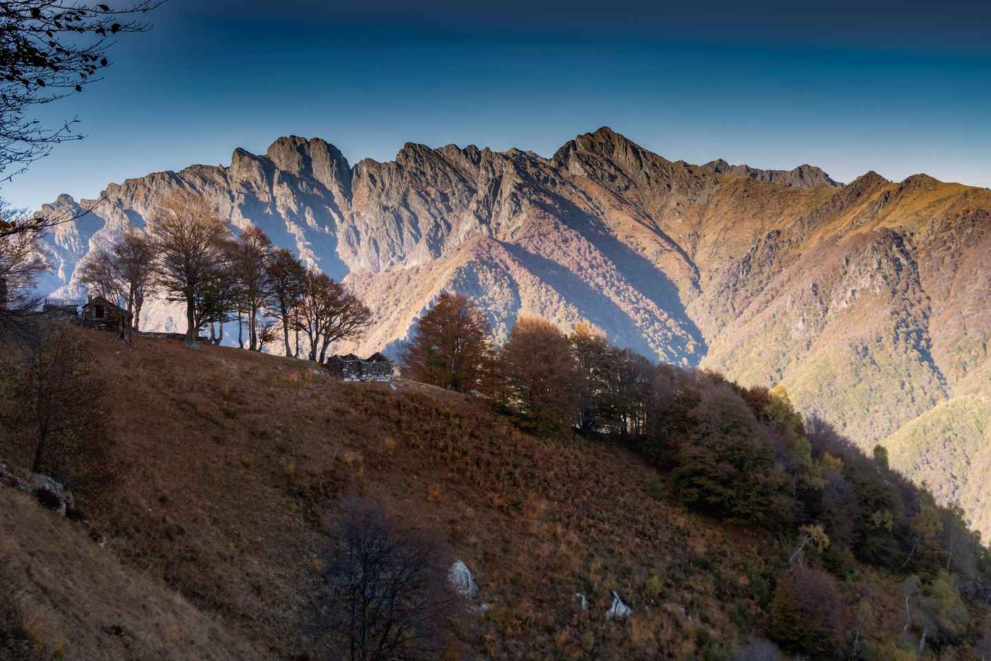 Borgo