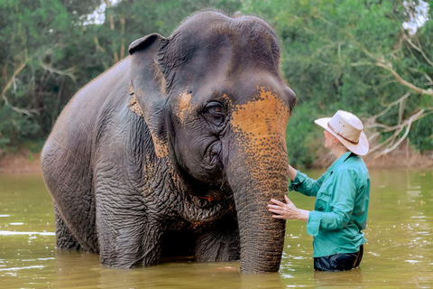 Phuket : Visite du parc naturel des éléphants