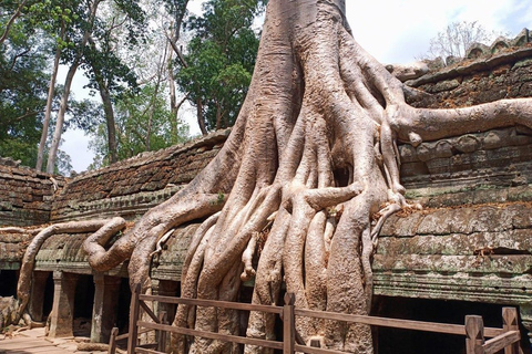 Excursión de 3 días a un Templo-Privada en Siem Reap Angkor