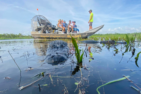 New Orleans: 10 Passenger Airboat Swamp Tour Activity without Hotel Pickup and Drop-Off