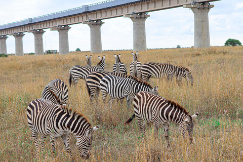 Privérondleiding door het Nairobi Nationaal Park