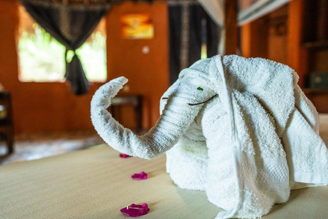 Z Zanzibaru: 2-dniowe safari w Selous z lotami i spacerem po buszuZanzibar: Selous 2-Day Safari with Flights &amp; Bush Walk