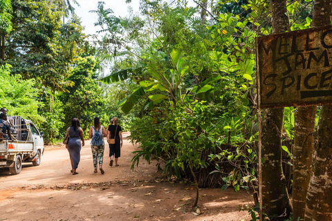 Dagtrip Zanzibar: Stone Town, Spice Tour en GevangeniseilandGedeelde groepsreis