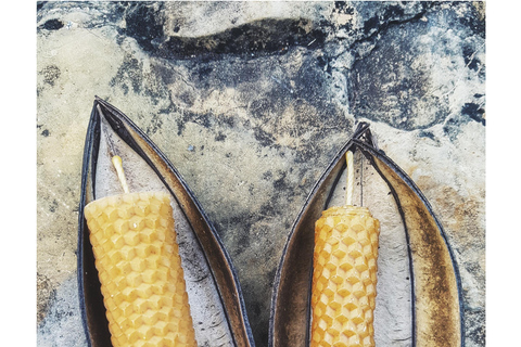 Santander: BioTour wild bees honey and more. Bee Masterclass + honey tasting or beeswax candle tasting