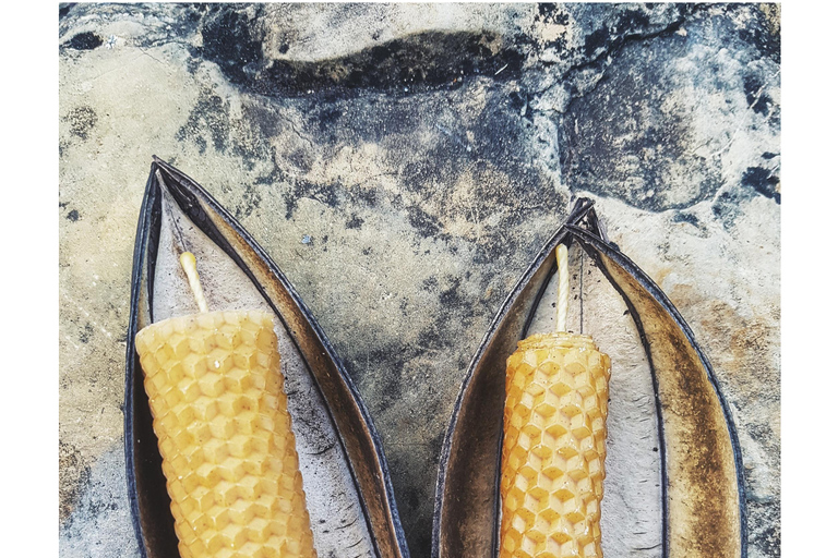 Santander: BioTour wild bees honey and more. Bee Masterclass + honey tasting or beeswax candle tasting