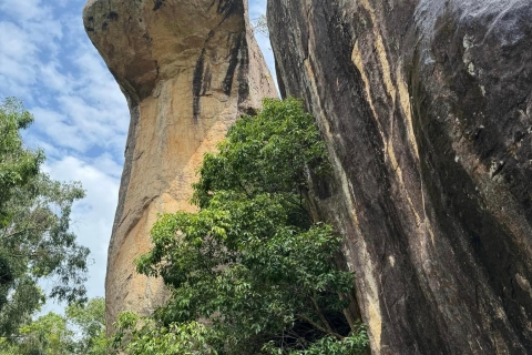 Depuis Kandy : Le rocher de Pidurangala et le parc national de Minneriya