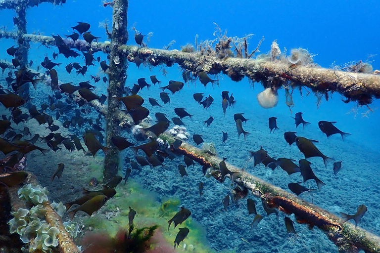 Larnaca: Private Wreck Diving Tour with Gear & Photos