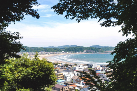 From Tokyo : Kamakura & Enoshima Island Private Day Trip