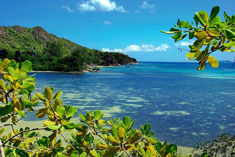 Mahé: Southern Coast Tour with Lunch & Rum Distillery Visit