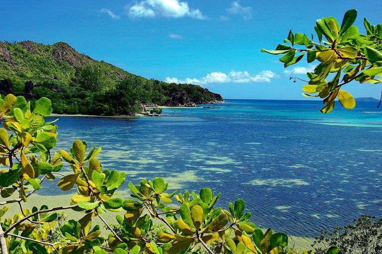 Mahé: Southern Coast Tour with Lunch & Rum Distillery Visit