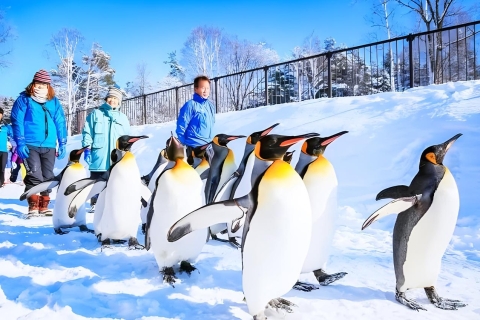 Hokkaido:Excursión de un día al Zoo de Asahiyama, las Cascadas de Shirahige y el Estanque de BieiDesde Sapporo: Visita al Zoo de Hokkaido, las Cascadas de Shirahige y el Estanque