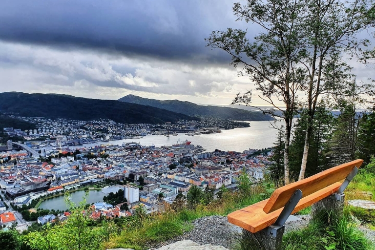 Bergen: Excursión por la montaña en la cima de Bergen - Visita pública