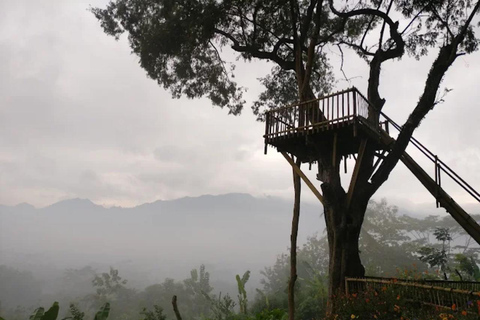 Magical Sunrise & Temple Tour: Barede, Borobudur, Prambanan