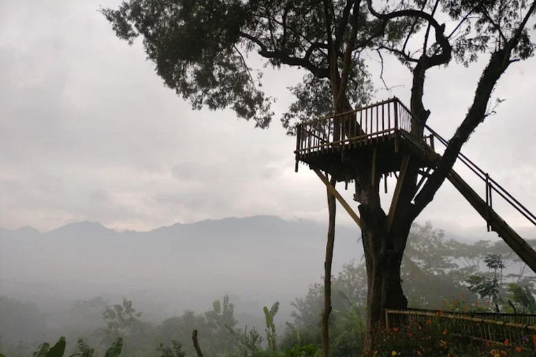 Magical Sunrise & Temple Tour: Barede, Borobudur, Prambanan