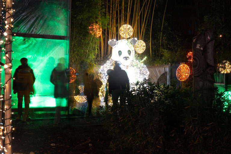 Trauttmannsdorff Castle: Lumagica Light Park Merano 2025/2026 Trauttmannsdorff Castle: Lumagica Merano Light Park 2025/2026