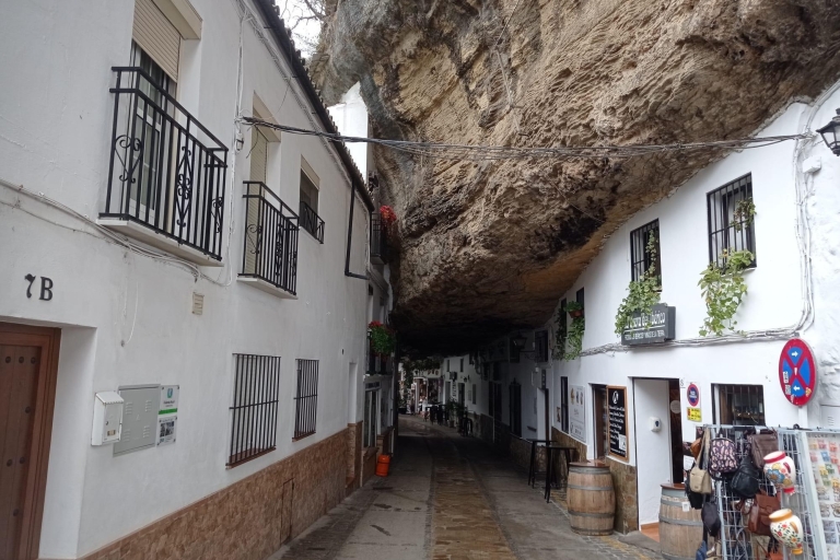 Vanuit Sevilla: Ronda en Setenil de las Bodegas DagtripDagtrip zonder rondleiding in Ronda