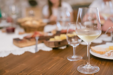 Mezzocorona: Teroldego Vineyard Tour and Wine Tasting Italian